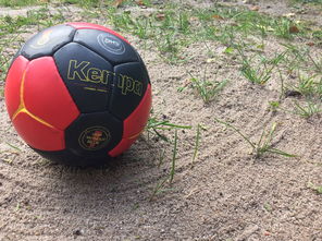 米兰体育联赛-全国老年人健身球操赛展银发激情，老年健身球类