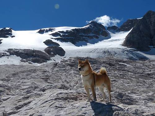 德甲赛季门票定价策略与球迷出勤率研究，德甲球票价格